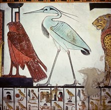 A detail of a wall painting in the tomb of Queen Nefertari depicting an egret and a falcon