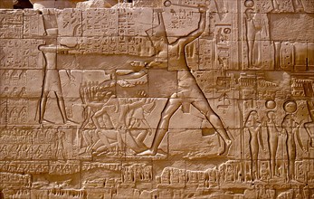 Relief from the northern wall of the hypostyle hall at the great temple of Amun