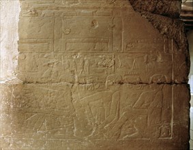A relief from the mastaba of Niankhkhnum and Khnumhotep, priests and overseers of the palace manicurists of King Neweserra