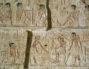 A relief from the mastaba of Niankhkhnum and Khnumhotep