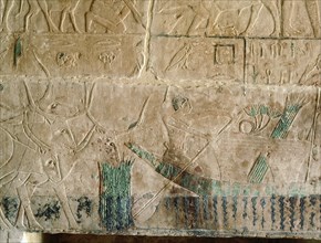 A relief in the tomb of Kagemni depicting a man paddling a reed boat beside a herd of cows