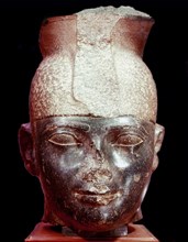 The head of king Taharka