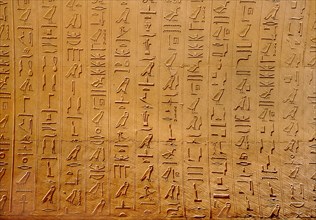 Detail from the Pyramid text of admiral Tjanhebu