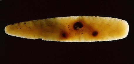 This finely worked implement made from flint is evidence of the high skills, and therefore specialisation, that existed in the predynastic period