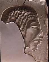 Fragment of arelief depicting a head in profile