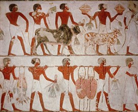 A detail of a wall painting in the tomb of Rekhmire with presentation of foreign tribute