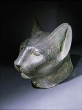 Bronze head of a cat