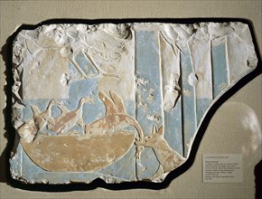 Fragment of a painted relief from the south wall of the ambulatory of the funerary temple of King Mentuhotep II at Thebes, depicting a jackal raiding a birds nest, while the parent bird attacks from a...