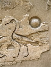 The hieroglyph depicting the crested ibis was used in order to express the concepts of light and power