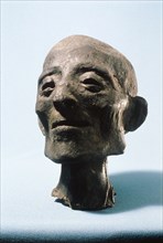 Head and neck of mummy of a 50 70 year old male
