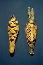 Two mummified falcons