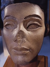 The head of Smenkh Ka Ra, sometimes thought to be Nefertiti