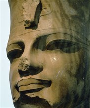 Head of Amenhotep III, wearing the red crown of Lower Egypt