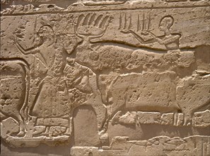 Relief from a processional colonnade of Ramses II in his temple at Luxor, showing part of procession with offerings at the annual festival of Opet
