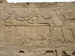 Relief from a processional colonnade of Ramses II in his temple at Luxor, showing part of procession with offerings at the annual festival of Opet