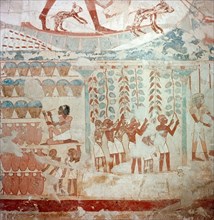 A detail of a painting in the tomb of Userhet showing scribes recording the jars of newly made wine