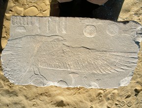 Fragment of a relief showing a bird with one outstretched wing