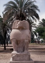 One of the colossal statues of the god Thoth, in his baboon aspect, at Hermopolis Magna
