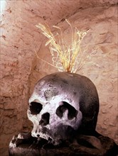Stone skull from the Count Frantisek Antonin Sporks spa at Kuks