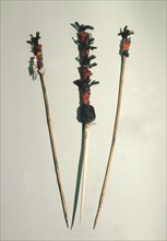 Hairpins used in the initiation rite of the Kuksu cult