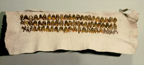 Headband made from hummingbird breasts mounted on deerskin