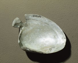 Abalone shell ladle