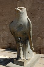 One of the two giant black granite falcons, the sacred bird of Horus, which flank the Pylon entrance to the Court of Offerings
