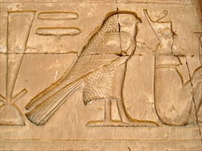 Hieroglyph of a falcon, the sacred bird of Horus, on the eastern outside wall of the Sanctuary of Horus