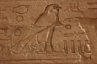 Hieroglyph of a falcon, the sacred bird of Horus, on the outside wall of the Pylon