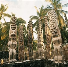 A cluster of tall wooden god figures at a Marae, temple site, near Hanaunau on the west coast of Hawaii