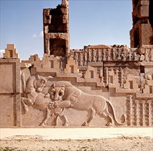 A detail of a relief carving on the staircase leading to the Tripylon at Persepolis, depicting a lion attacking a bull