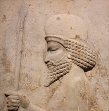 A detail of a relief carving on the staircase leading to the Tripylon at Persepolis, depicting a Mede