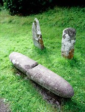 A group of stones inscribed with Ogham characters, found near Colaiste Ide, Co