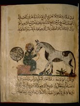 Illustration from Nihayat al Sul, a Mamluk manual on horsemanship