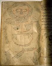 Islamic medical manuscript