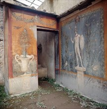 Fresco from the House of the Venus Marina