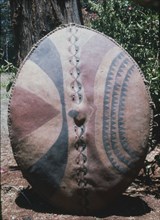 A Masai shield