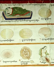 A detail of a medical thangka from a version of the commentary on the ancient Four Tantras, the fundamental treatise of Tibetan medicine