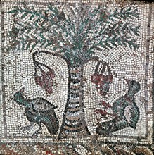 A detail of a mosaic from the Roman period in the Levant depicting two birds and a date palm