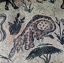 A detail of a mosaic from the Roman period in the Levant depicting a prowling tiger