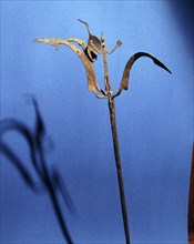 An altar iron in the form of a stylized figure with arms upraised and leaves