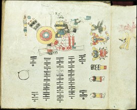 Two pages from the Codex Cospi