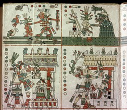 Page from the Codex Fejervary Mayer