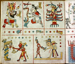 Page from the Codex Fejervary Mayer, a ritual codex used as a birth chart
