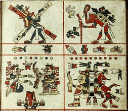 Panel of the Codex Fejervary Mayer