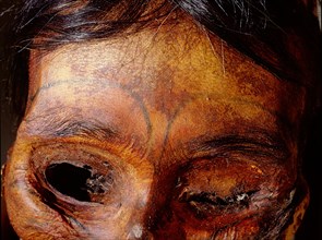 Detail of the forehead of a tattooed female mummy