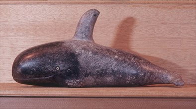 Model of a killer whale
