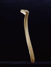 Ivory shaft with a finial in the shape of a polar bear head