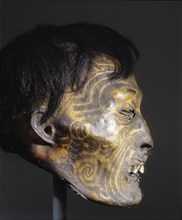 Maori sometimes preserved the heads of revered chiefs who died in battle far from home, or those of important enemies