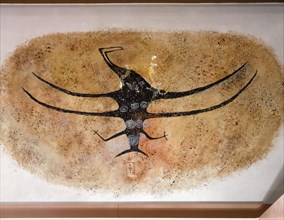 A reconstruction of a Maori rock drawing of a bird from Maerewhenua shelter on a tributary of the Waitaki River